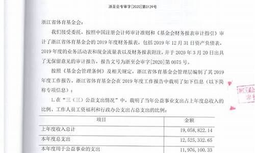 审计报告_审计报告多少钱一份