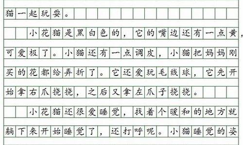 小学三年级日记300字三篇