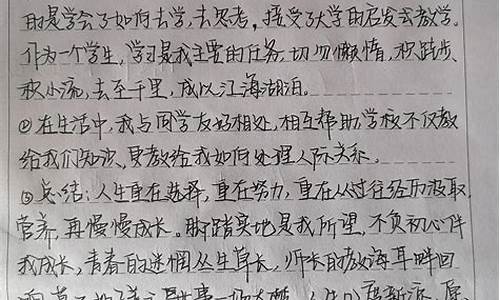 学年鉴定表个人总结大四